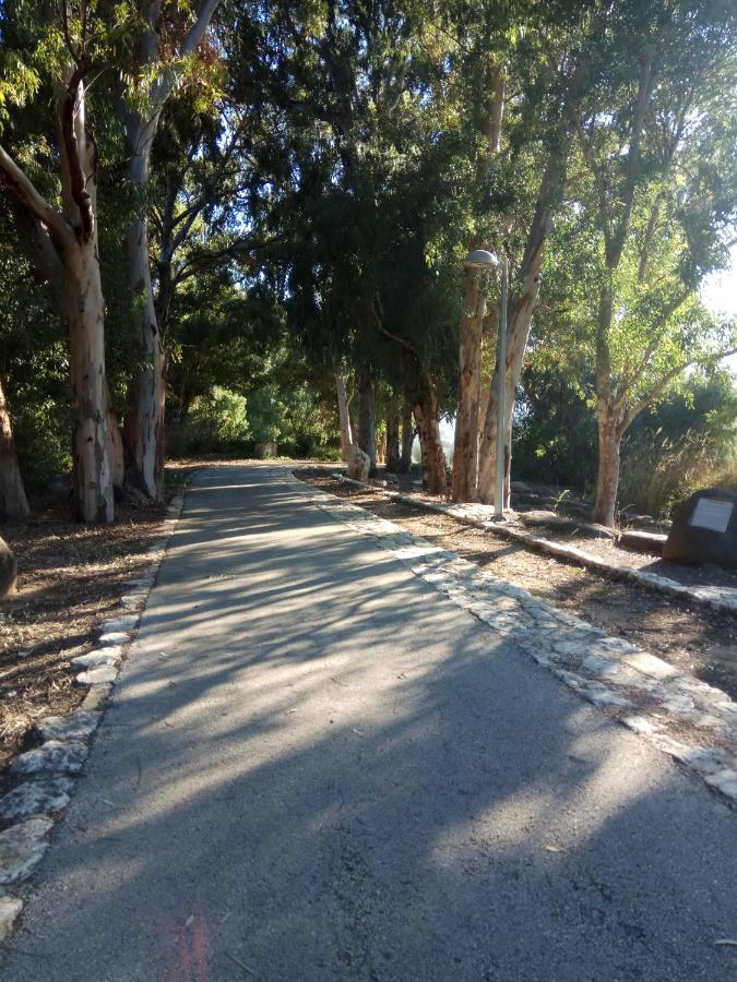 אצלנו - בגליל העליון Apartment Qiryat Shemona Luaran gambar