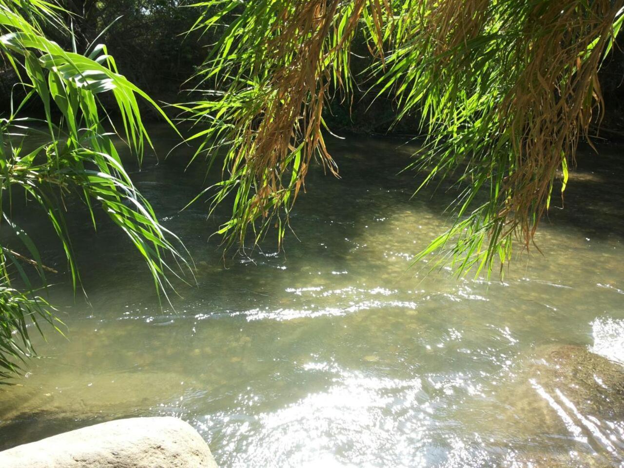 אצלנו - בגליל העליון Apartment Qiryat Shemona Luaran gambar